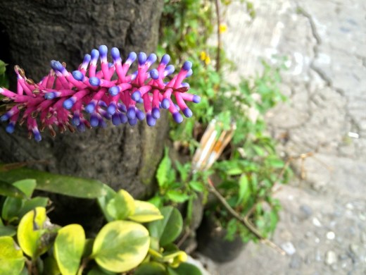 dg5tZQcdSj2hz3Cc8pSxwA_thumb_14e0e