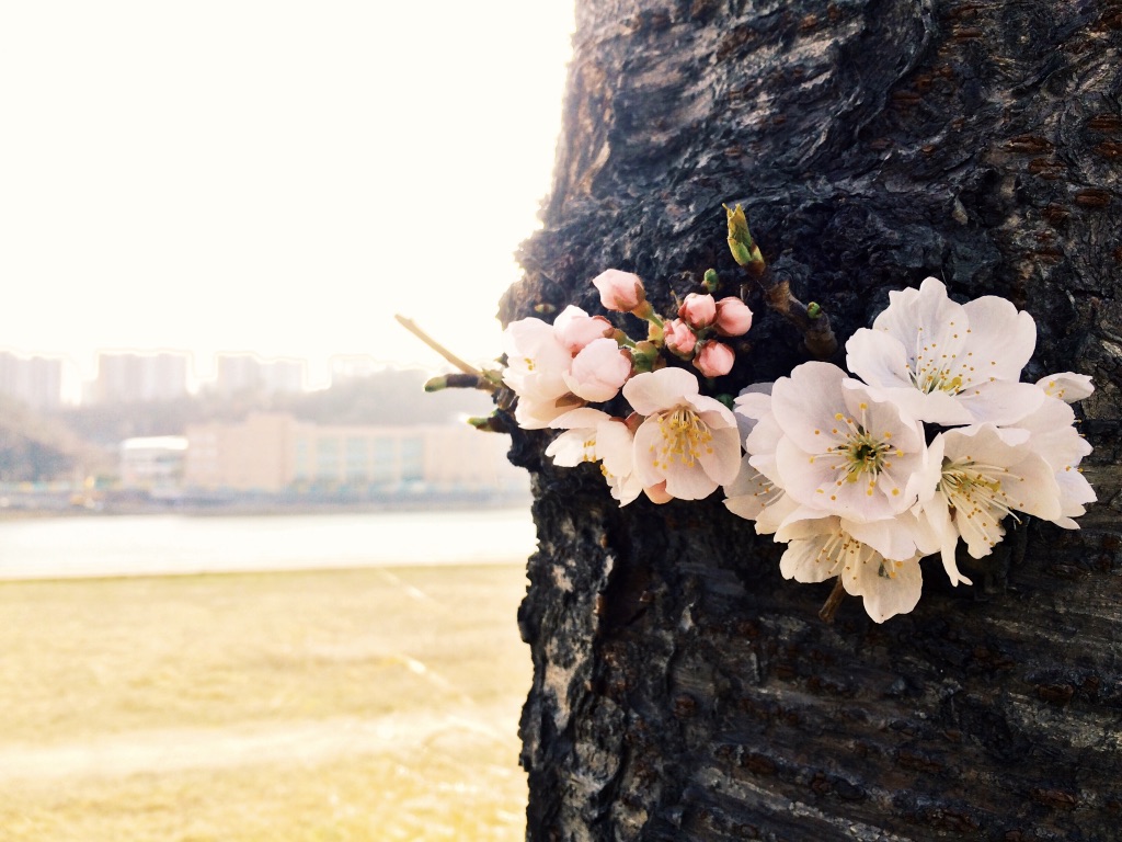 evsogTymR4SIZNP6un92LQ_thumb_115c2