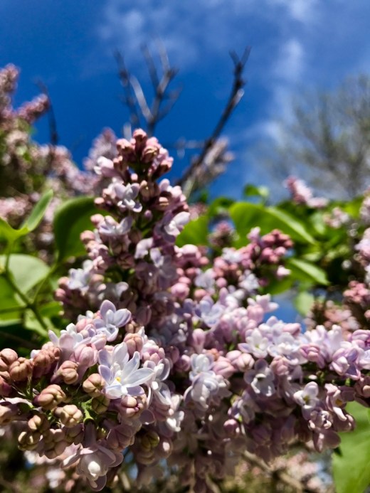 %mJT+M0kSMuj15DhRmlZ5g_thumb_16f96