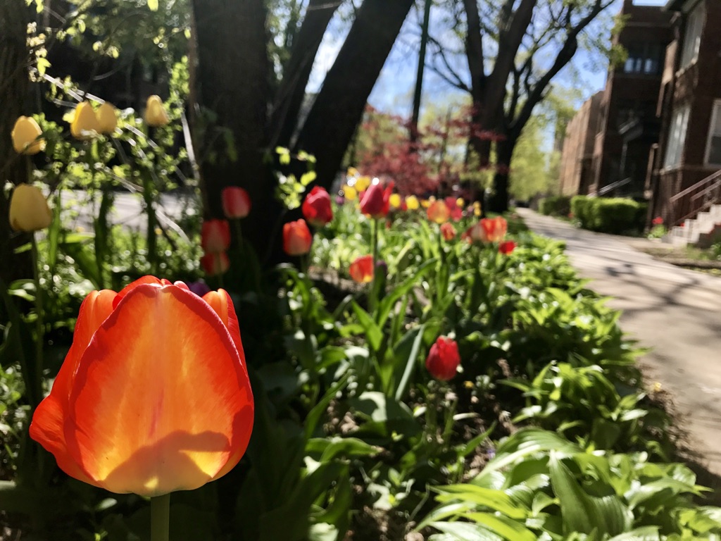 t41PWRYdR9CGXgB9qGopEA_thumb_16fb0