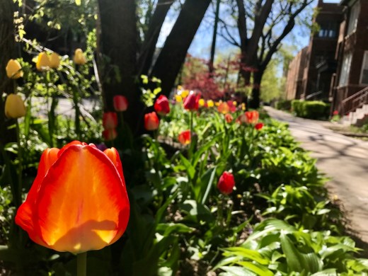 t41PWRYdR9CGXgB9qGopEA_thumb_16fb0