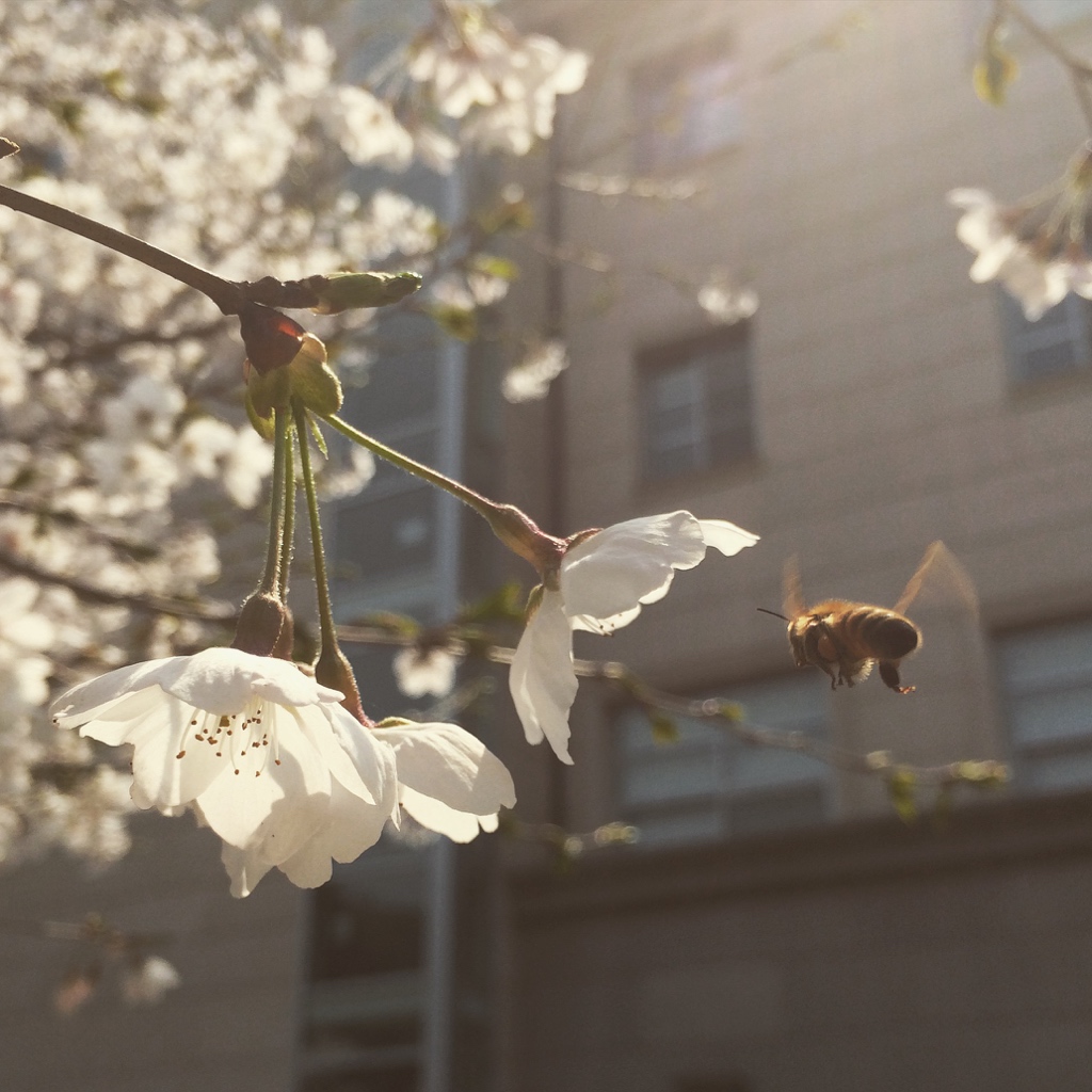 UNADJUSTEDNONRAW_thumb_11df4