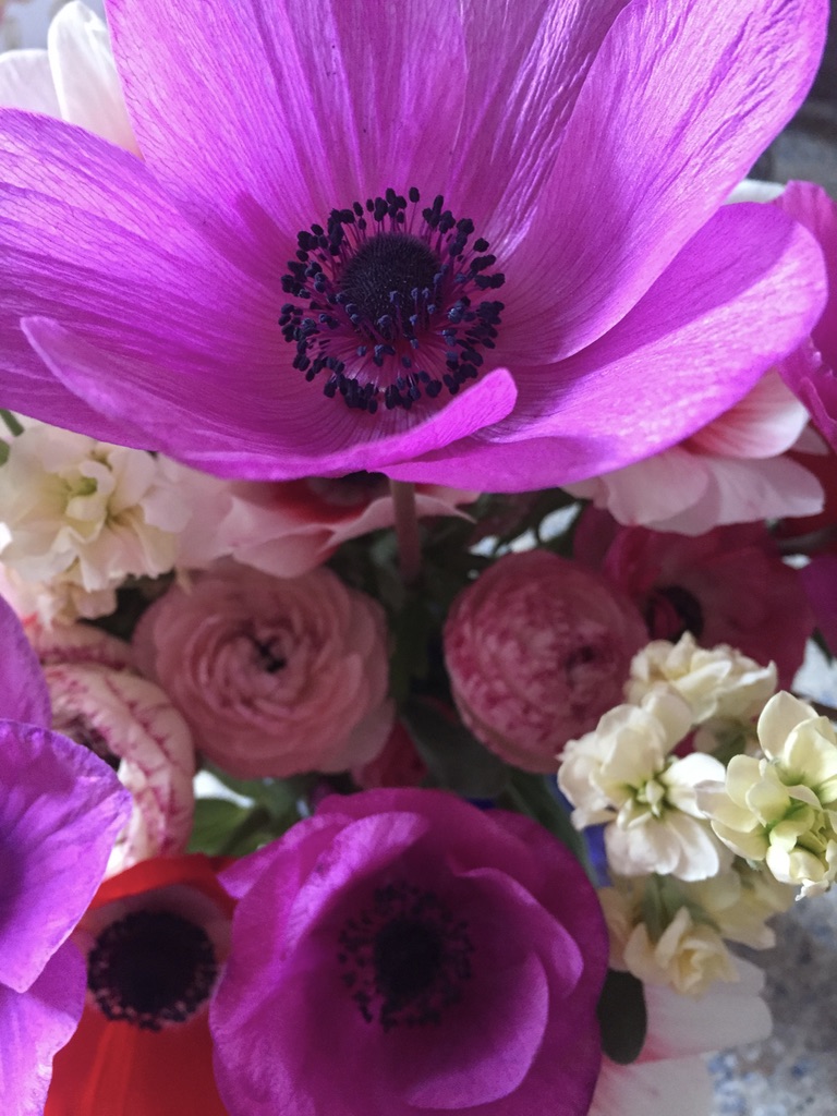 UNADJUSTEDNONRAW_thumb_171d5